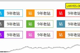 蓝叶Emlog程序网站显示年龄插件  Emlog插件