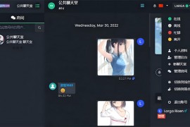 ChatNet v1.11-V1.9 汉化版源码分享及详细搭建教程
