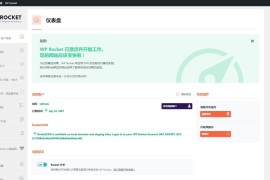 「亲测」WP Rocket WordPress火箭缓存插件wprocket v3.9.1免授权汉化版