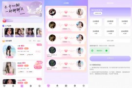 最新陪玩陪聊系统网站源码 陪玩管理系统 / 匹配交友系统 娱乐交友系统公众号版