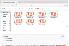 WordPress 原创图标设置插件，功能小巧不收费