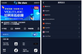 九种语言点赞抖音脸书tiktok分享点赞任务系统源码