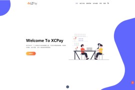 浪子Pay-码支付即时到账系统源码